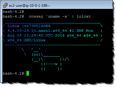 New Amazon Linux Container Image for Cloud and On-Premises Workloads…